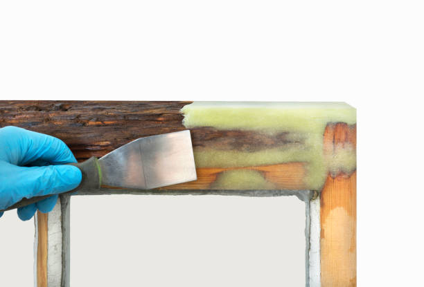 خرید رزین ضد خش + قیمت فروش استثنایی